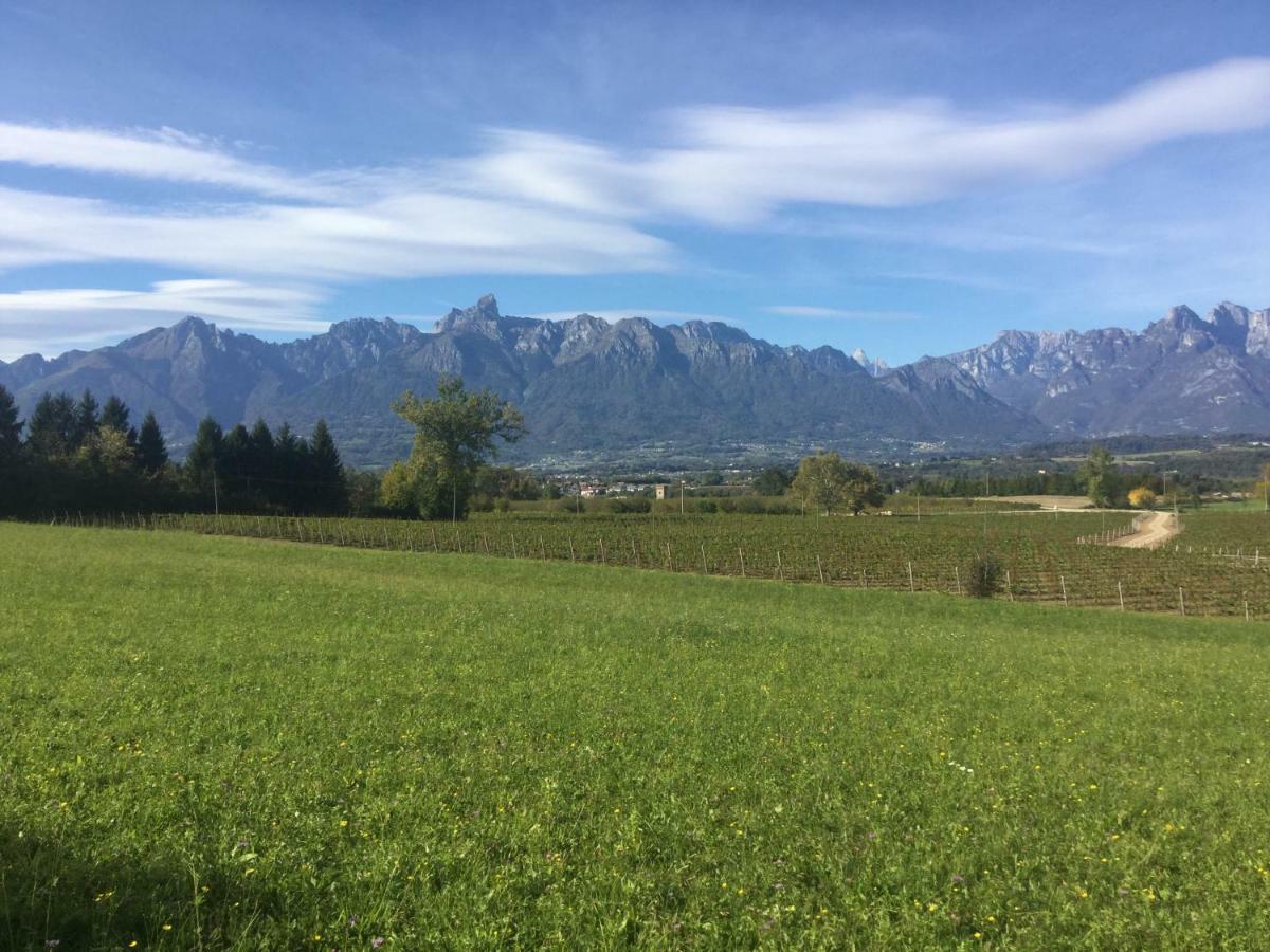 Гостьовий будинок Agriturismo Casteldardo Trichiana Екстер'єр фото